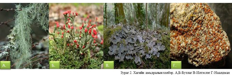 ХАГИЙН НУУЦЛАГ ЕРТӨНЦ