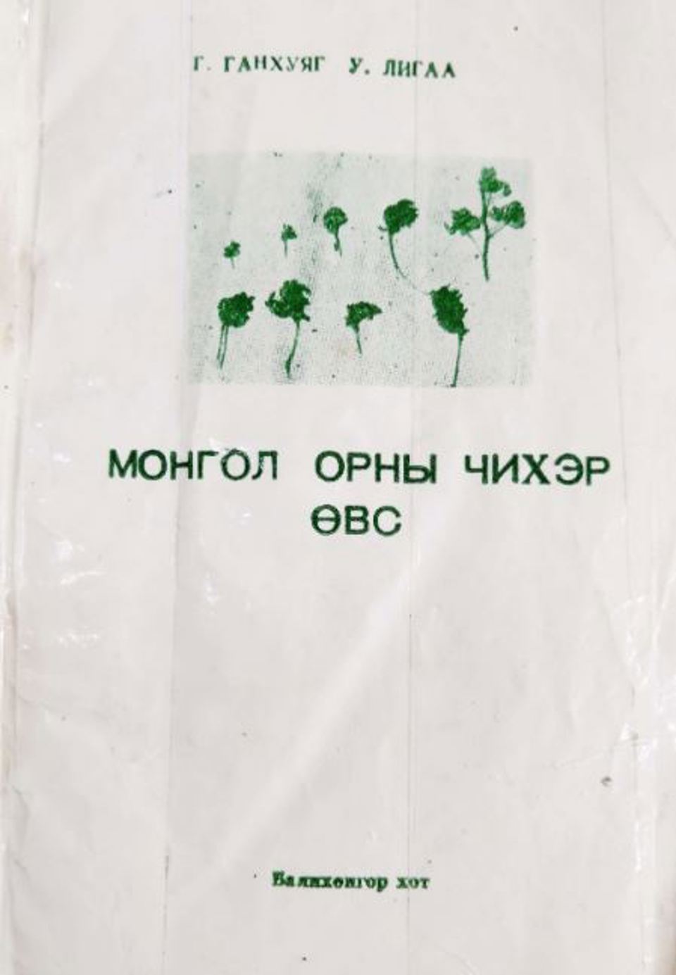 МОНГОЛ ОРНЫ ЧИХЭР ӨВС